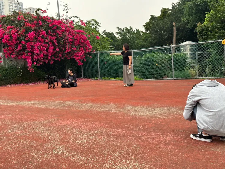 攝影師Yang、志工在板橋動物之家現場拍攝，採低角度方式拍出平行視角。動保處提供