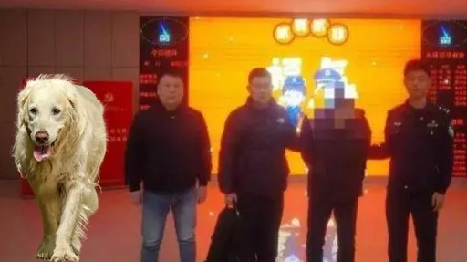 棄父如棄狗!逆子帶老父去酷寒風景區 獨留他在雪中觀景台等死