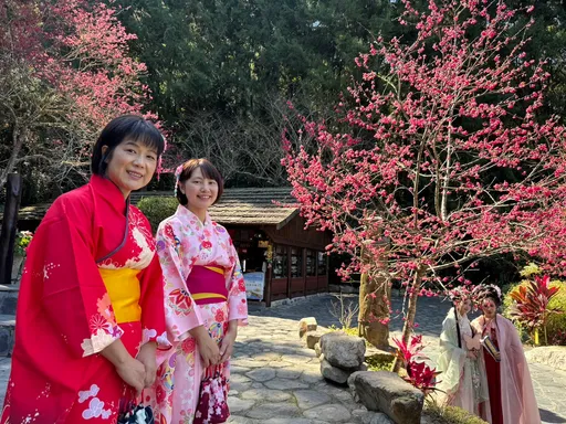 九族櫻花祭今起開跑 5千株接力綻放!櫻花女王號纜車有看頭