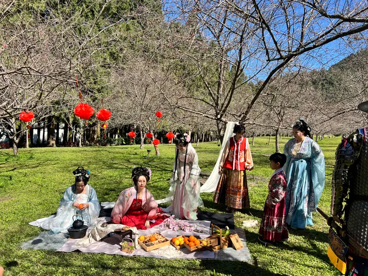 活動期間推出「櫻花饗宴」，邀請賓客免費換上漢服在櫻花隧道下品嚐在地時令滋味。九族提供