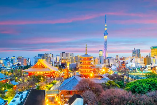 春節14家機票優惠！飛日本最低免萬元　北美下殺85折起