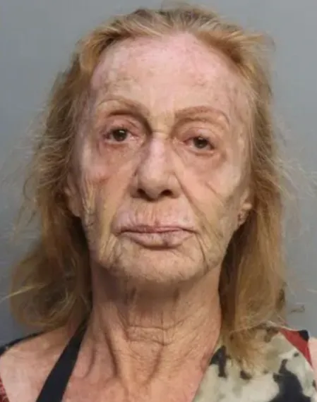 71歲老婦雅特爾被以二級謀殺未遂等罪起訴。翻攝Florida police department