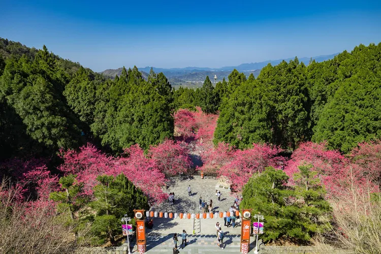 翻攝臉書@九族文化村 Formosan Aboriginal Culture Village