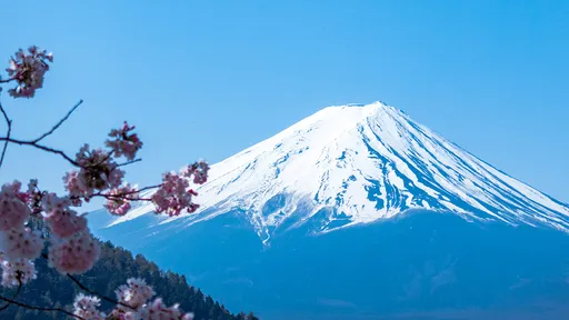 中資飯店「想看富士山」竟偷砍鄰居樹木　地主提告又怕被報復
