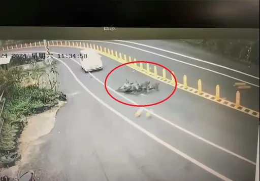 畫面曝光!宣明智女婿喪命地再添亡魂 台3線103K重機男自摔被撞亡