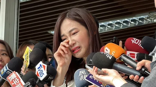 楊寶楨「被請辭」別哭！國民黨有意挖腳　徐巧芯認有人想找她