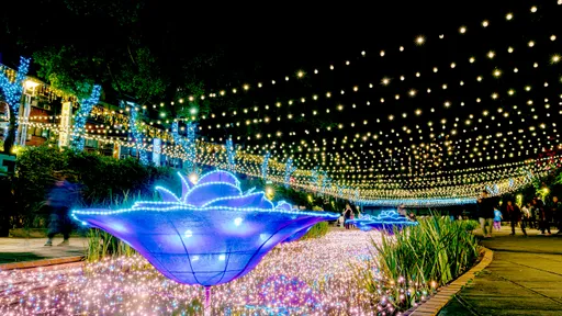 新莊中港光雕3/1璀璨登場 巨型手比愛心造型光廊搶先看