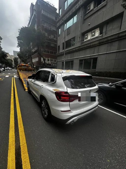 倒楣片|北市信義區樹倒砸損BMW害1人傷 疑似患褐根病釀禍