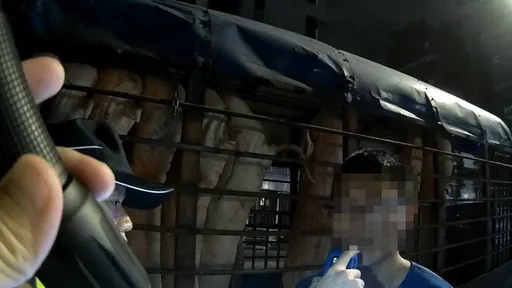 男子深夜送貨喝這東西提神 警一酒測慘了!急call老闆求援