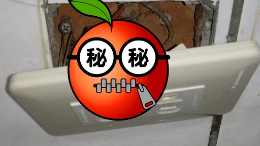 打開牆壁插座!驚見一窩蛋 「這一條」才嚇壞人:要出意外了