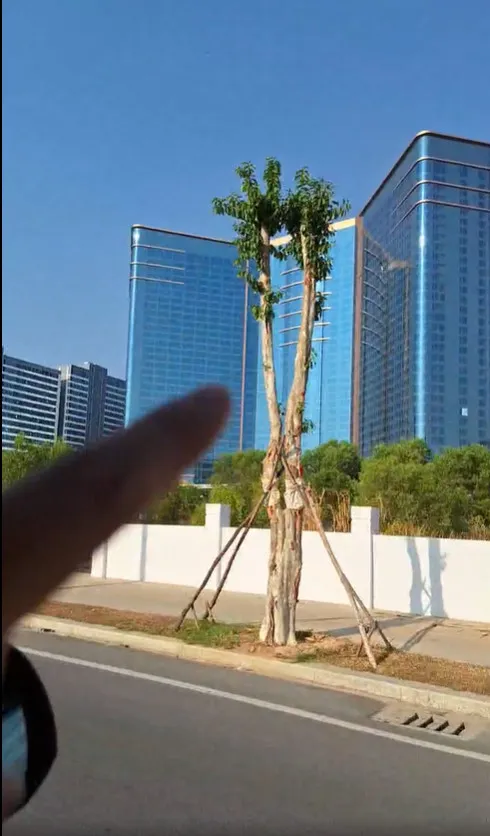 小雞實境造訪柬埔寨凱博園區，卻疑遭痛毆失聯。晚安小雞臉書