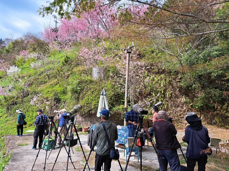 鳥友獵豔。黃蜀婷提供