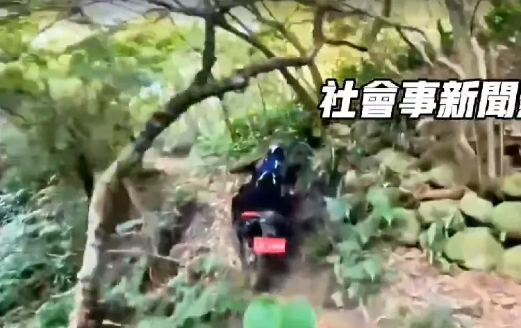 紅牌重機騎士在桃園龜山中坑林道奔馳耍帥。翻攝自社會事新聞