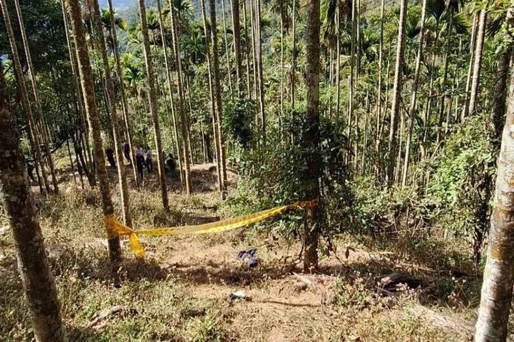 現場位於國姓鄉乾溝村與大旗村猴洞坑交界的山區。民眾提供