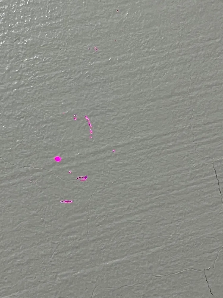 民眾拍完蟲洞後，回家發現感光元件受損，導致拍攝呈現紫色斑點及線條。江肇國服務處提供