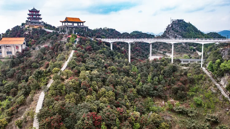 貴州六盤水市「十里杜鵑景區」。新華社