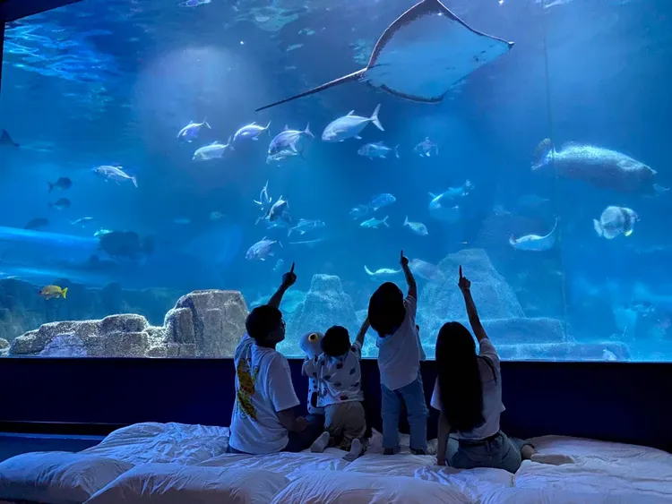 遠雄海洋公園探險水族館。業者提供