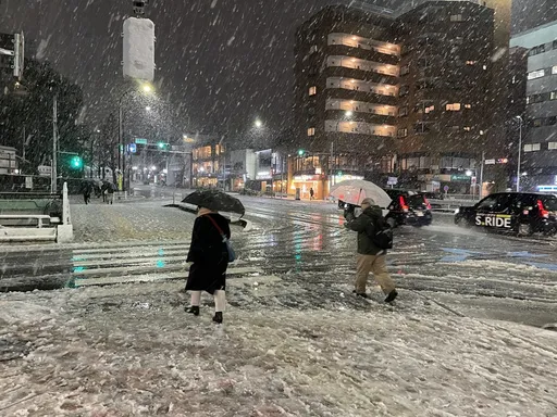日本東京大雪警報解除　逾百人因雪摔倒等送醫