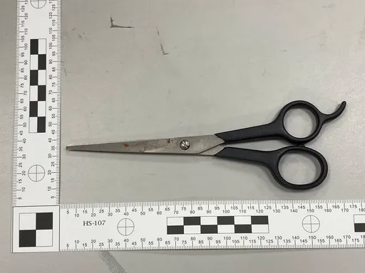 台南兒童公園玩沙赫見女嬰頭顱　生母下毒手！同居男友辯不知情