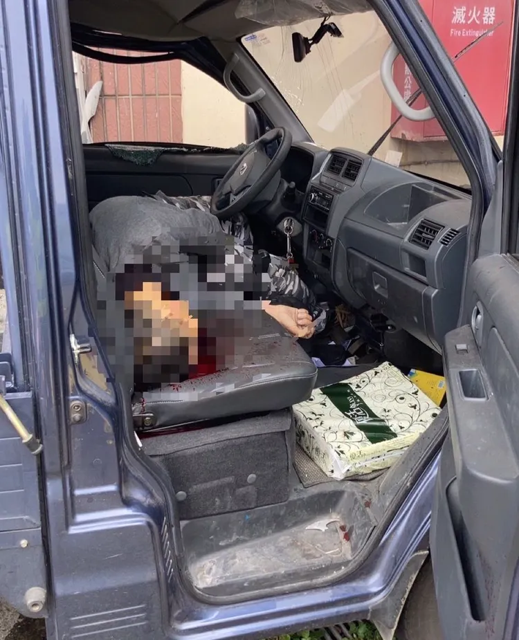 小貨車駕駛送醫不治。翻攝畫面