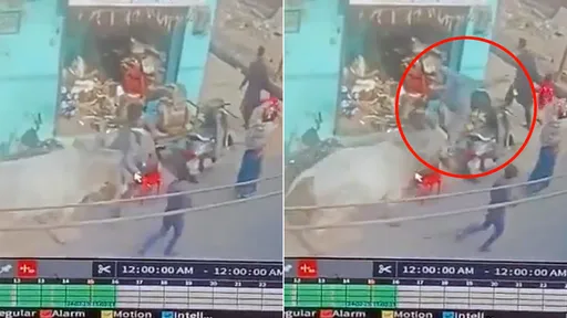 流浪牛街頭偷襲「頂飛人類奪命」 牠行兇後立即轉身落跑