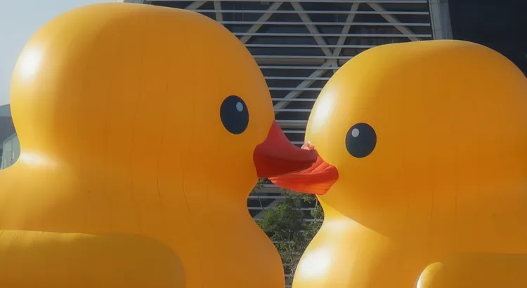 高市府今午用船隻牽引小鴨，用錯位方式「親嘴」。莊晉勳提供