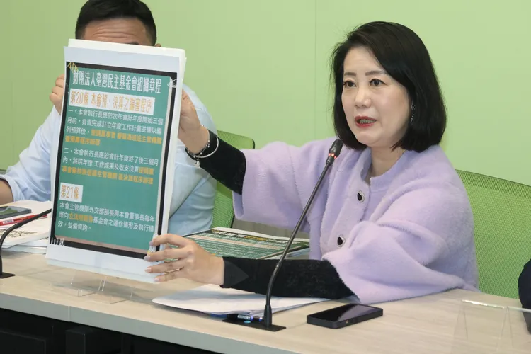 吳思瑤提出民主基金會組織章程說明預算。彭欣偉攝