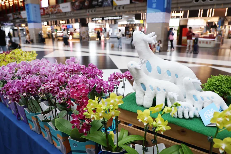 「Orchidsaur」布偶限定發售。市府提供