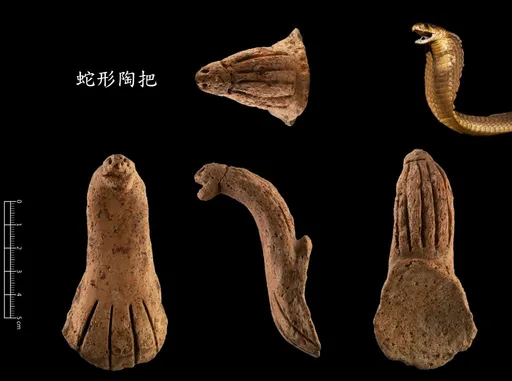 4000年祭器桃園現身！清大考古發現蛇形陶把　具眼鏡蛇特徵