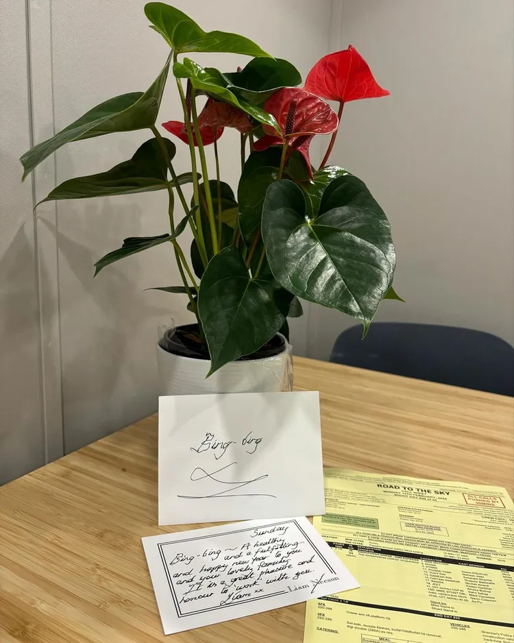 范冰冰開心收到連恩尼遜送的賀卡和盆栽。翻攝bingbing_fan IG