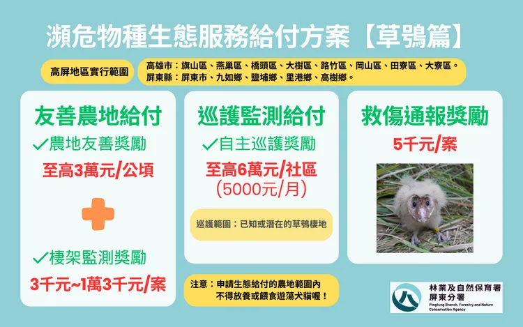 113年草鴞生態服務給付方案。林保署提供