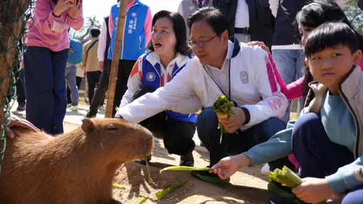 張善政埔心牧場走春 初見水豚君也成好奇寶寶