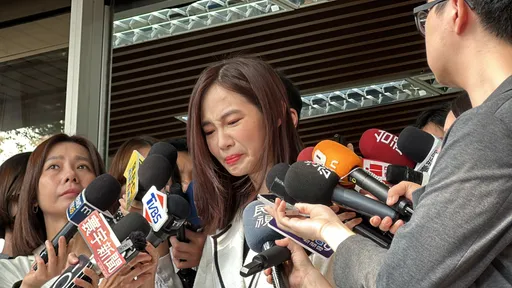 楊寶楨請辭淚崩「受委屈」? 黃珊珊喊話:我們等你回來