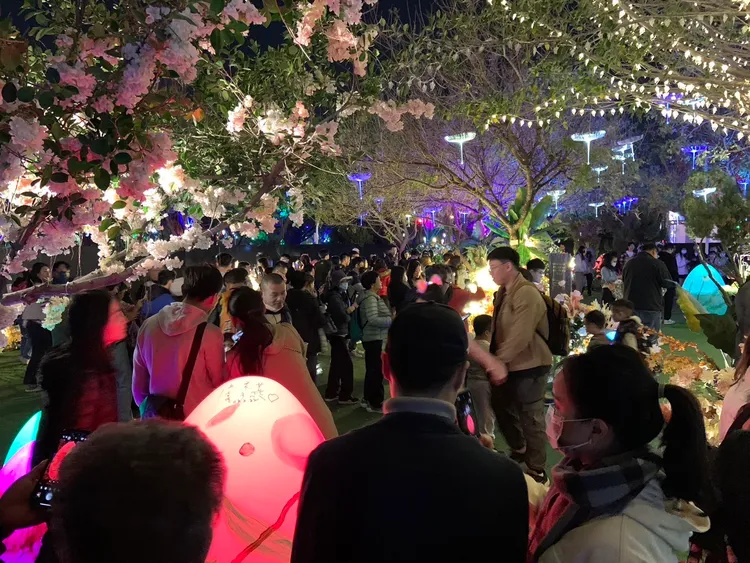 建設局「龍之異次元」燈區，以「金、木、水、火」四象元素，打造沉浸式奇幻空間。市府提供