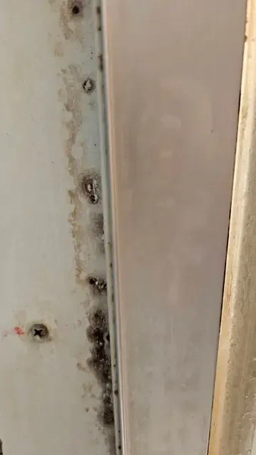 Amy說其他團員遇到浴室發霉的狀況。Amy提供