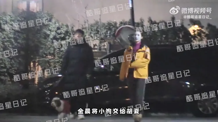胡夏（左）春節拜訪金晨家，兩人一同出門遛狗，金晨把握時間敷面膜。翻攝酷哥追星日記微博