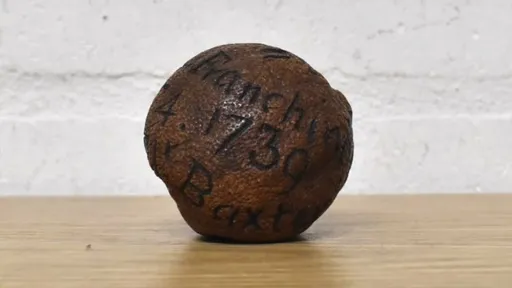 這是一顆有故事的285年風乾檸檬 竟吸瘋狂競標4.3萬元成交