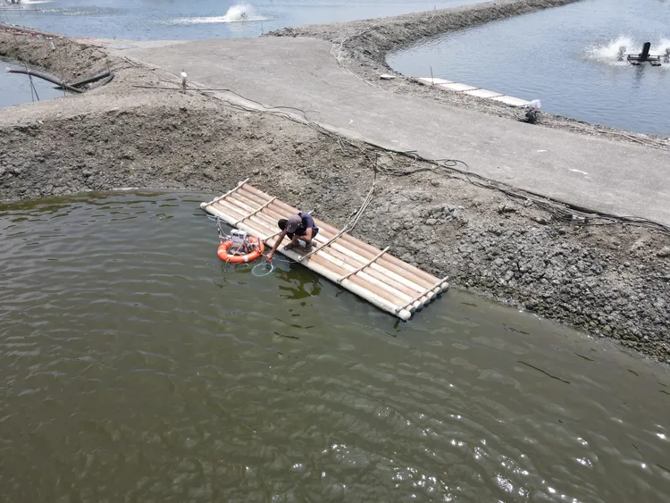 中山大學海洋科學系以自主研發的儀器實地測量臺灣養殖魚塭碳排放狀況。中山大學提供