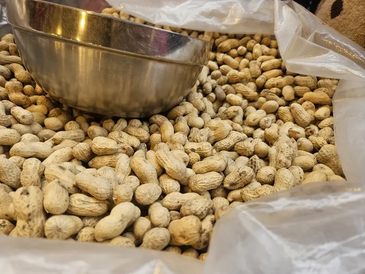 過年狂嗑瓜子、零嘴，一不小心就容易攝取過多熱量，營養師建議如果是散裝購買堅果、花生等，建議買回家後分裝成小包裝保存，容易控制份量，不會一次吃太多。中央社