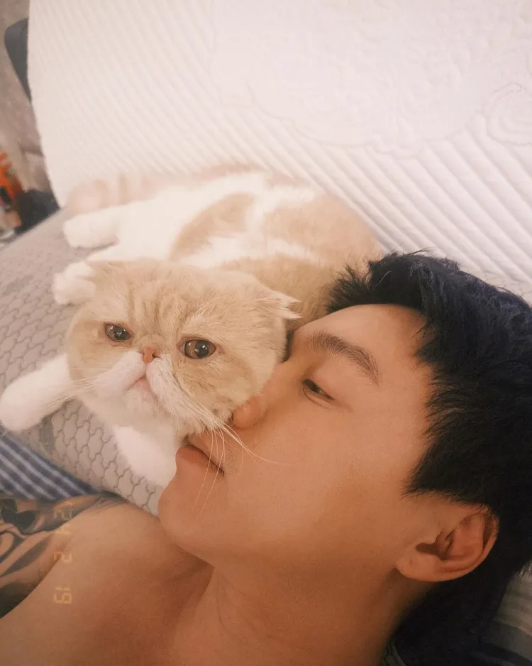 網友抓包Toyz和篠崎有同一顆枕頭。翻攝自Toyz IG