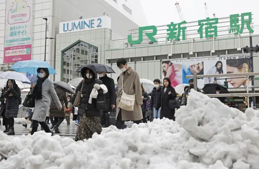 東京大雪警報各地積雪 降雪隔天學企鵝走路更安全