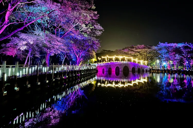 《繞巡》。王志弘攝