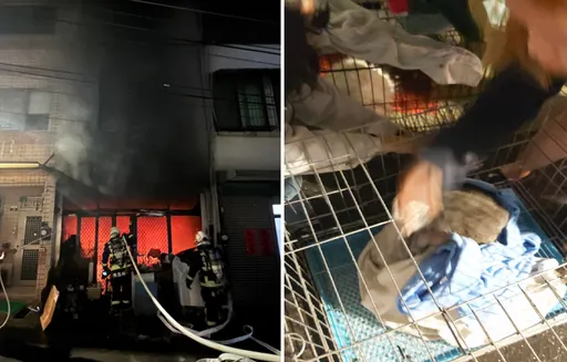 台中民宅火警　40多隻貓狗只救出8隻！情侶飼主崩潰