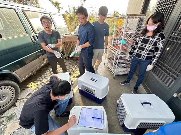 嘉義縣家畜所前往新港鄉查獲非法繁殖場。縣府提供