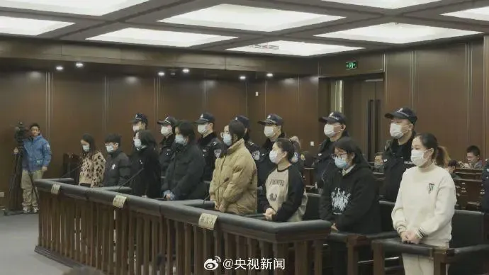 上海靜安區法院審理詐騙案，8嫌均為女性。翻設網路