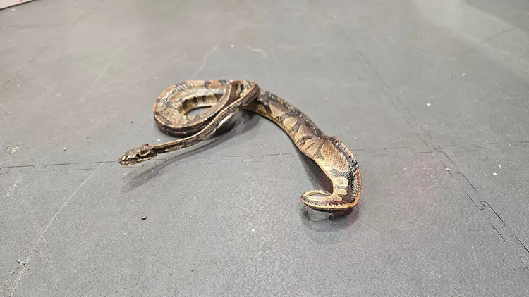 翻攝自坎寧安家具回收臉書