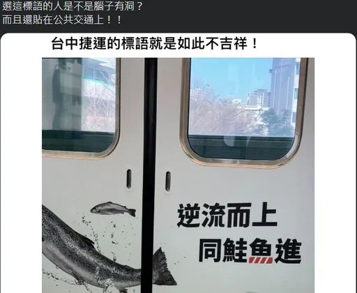 中捷車廂彩繪驚見「同鮭魚進」諧音梗　乘客發寒！市議員批低級