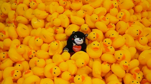 雙鴨情人節親親!元宵孵出愛的結晶 1.5萬小小鴨漂流競速「獎落誰鴨」