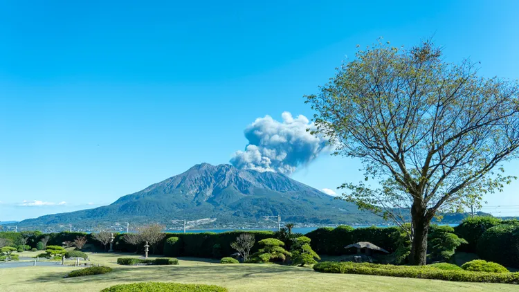 南九州行程除搭乘「指宿玉手箱列車」外，更至仙巖園賞櫻、遠眺櫻島以及抹茶體驗。可樂旅遊提供