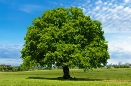 國泰建設斥資10.45億元取得台中營建用地 擬規劃住宅大樓